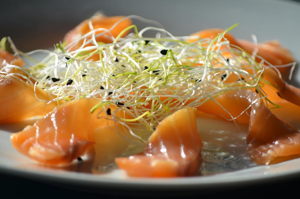 Salmone con germogli di porro